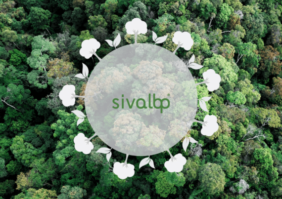 Stratégie RSE de Sivalbp, entreprise de bardage bois engagée pour le développement durable