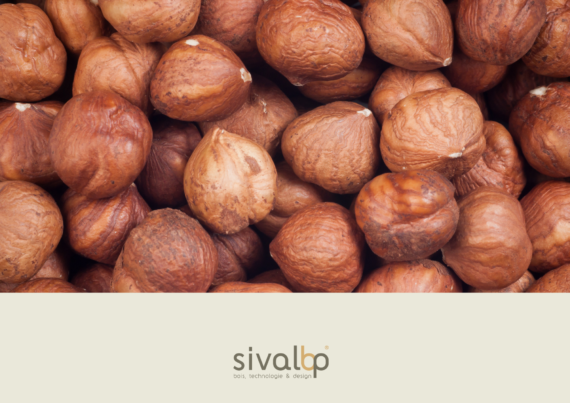 Discover Noisette 115, our new wood cladding shade to dress up your projects !